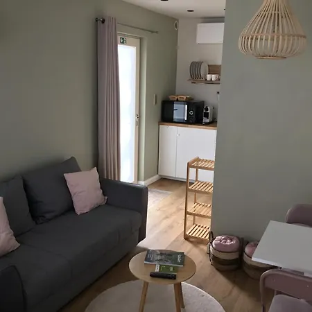 Gezellige Studio Met Terras En Gratis Parking Oudenaarde Habitación foto